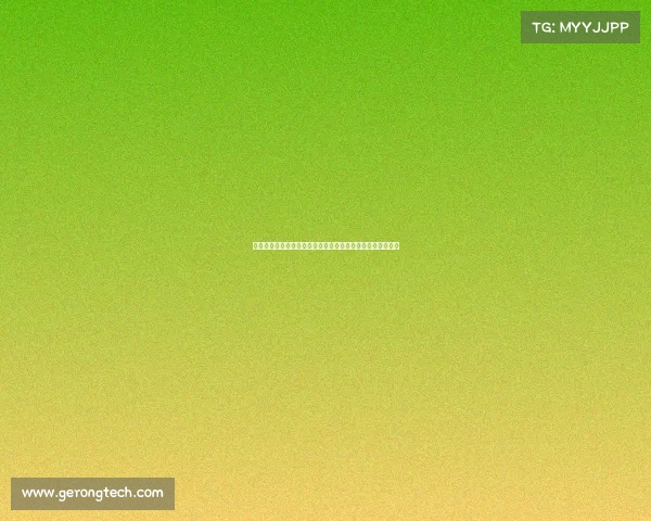 揭秘西甲俱乐部征战欧洲顶级赛场的非凡旅程成就与挑战并存